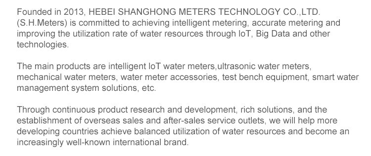 Company Introduction Company Introduction