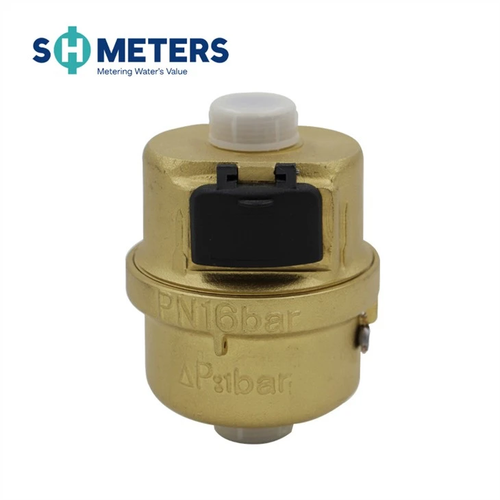 Dn15-25 Piston Volumetric Water Meter With R160 Class C Water Meter