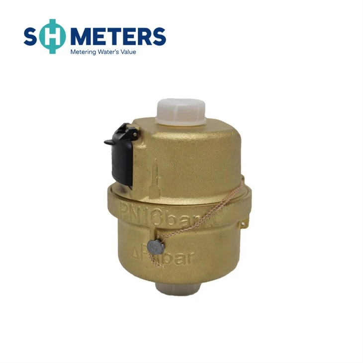 Dn15-25 Piston Volumetric Water Meter With R160 Class C Water Meter
