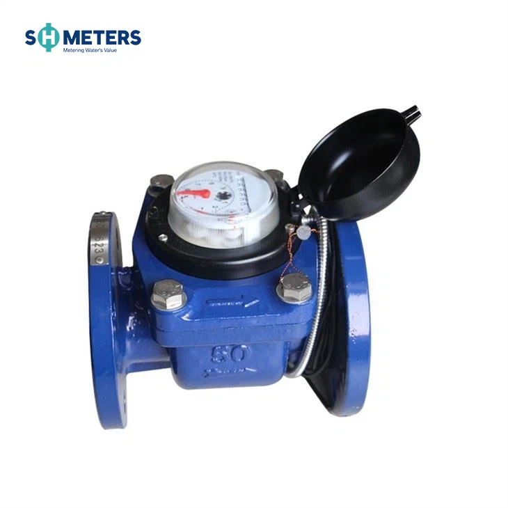 Irrigation Horizontal Vane Wheel Dry-dial Cold(hot) Water Meters