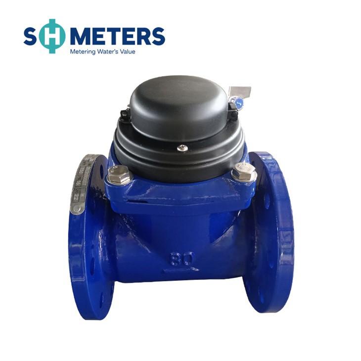 DN40-DN200 Woltman Cold Water Meter Avtagbart element